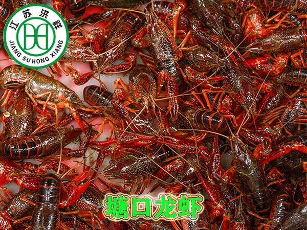 XYDK6050型數控雕刻機 全封閉